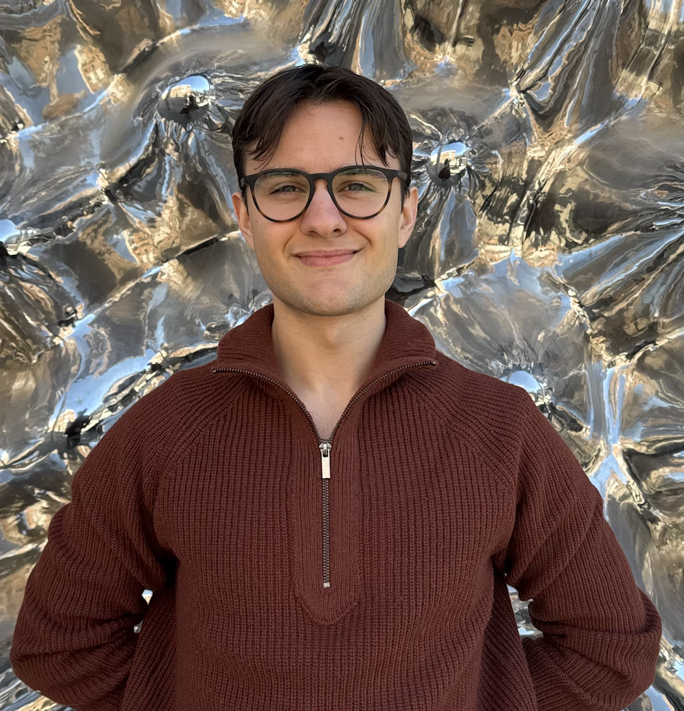 DANIEL SHAHZAD-LANDSVERK profile